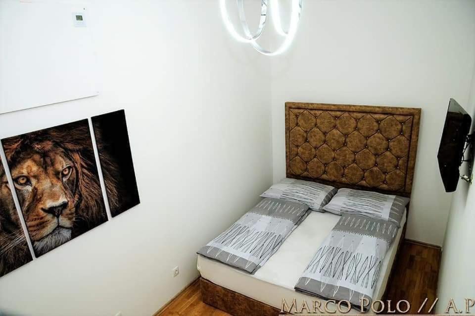 Markopolo Apartments Viyana Dış mekan fotoğraf